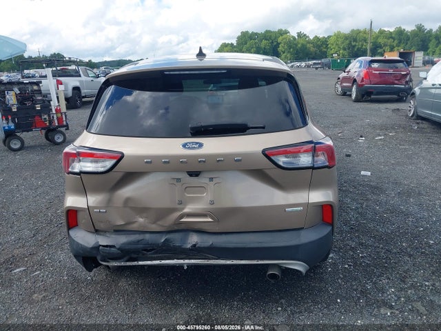45795260 :رقم المزاد ، 1FMCU0G68LUB59529 vin ، 2020 Ford Escape Se مزاد بيع
