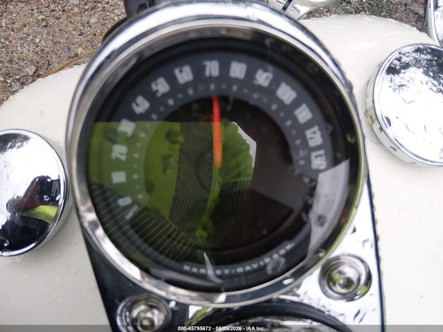 Harley-Davidson Fxlr Low Rider 2018 1HD1YNJ12JC023327 Image 7