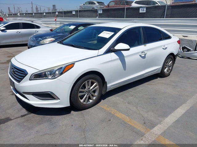 5NPE24AAXHH494896 Hyundai SONATA ECO