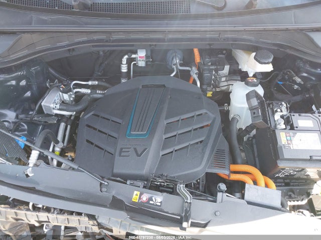 KIA Niro Ev Ex Premium 2019 KNDCE3LG8K5030295 Image 10