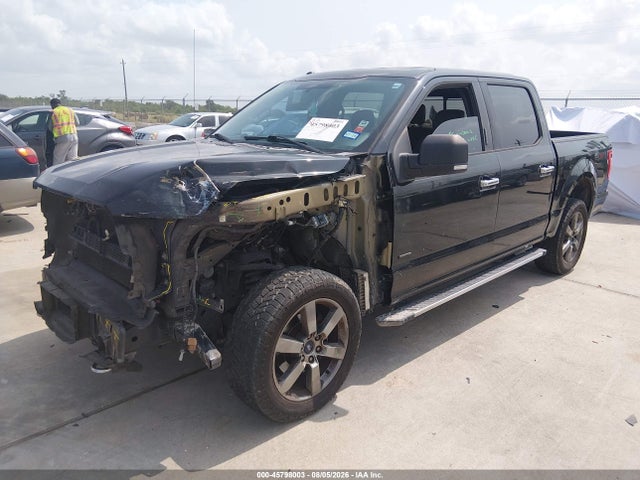 1FTEW1EP3FKD20474 Ford F-150 Xlt