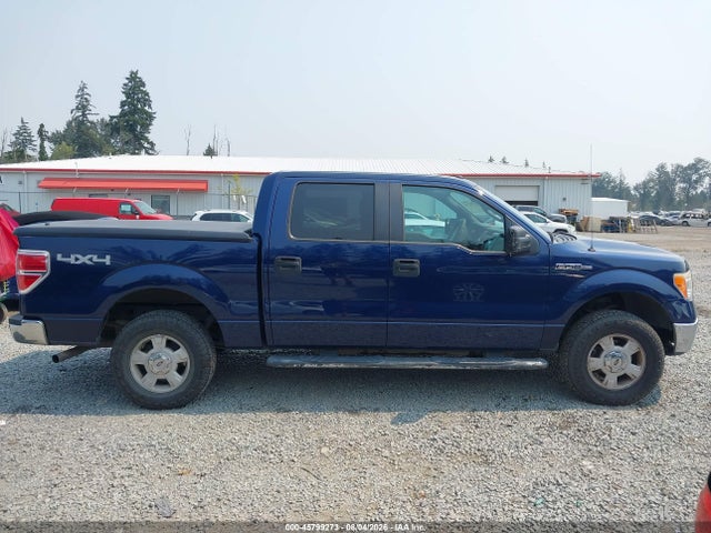 45799273 :رقم المزاد ، 1FTRW14849FA48557 vin ، 2009 Ford F-150 Xl/xlt مزاد بيع