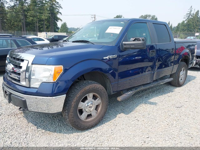 45799273 :رقم المزاد ، 1FTRW14849FA48557 vin ، 2009 Ford F-150 Xl/xlt مزاد بيع