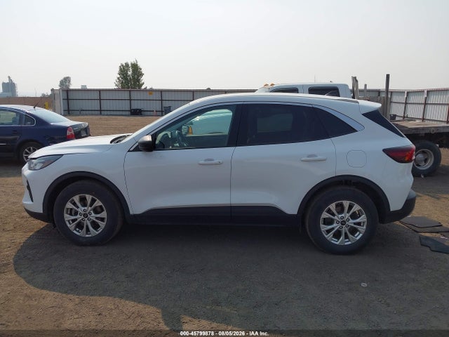 1FMCU9GN1PUA55353 Ford Escape Active