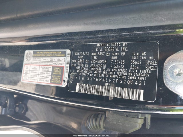 Продаж на аукціоні авто 2023 Kia Sorento Ex, vin: 5XYRH4LF2PG203421, номер лоту: 45800315