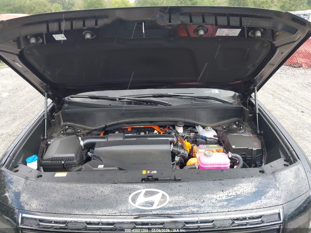 Hyundai Palisade Hev Calligraphy 2026 KM8RM5SA7TU064401 Image 10