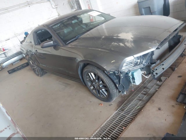 45801263 :رقم المزاد ، 1ZVBP8AM0D5225092 vin ، 2013 Ford Mustang V6 Premium مزاد بيع