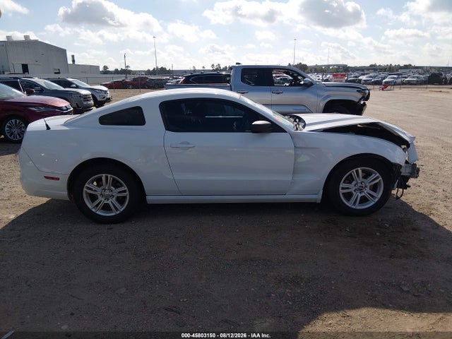 1ZVBP8AM4E5224142 Ford Mustang V6