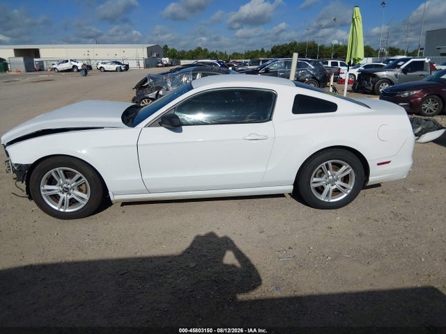 1ZVBP8AM4E5224142 Ford Mustang V6