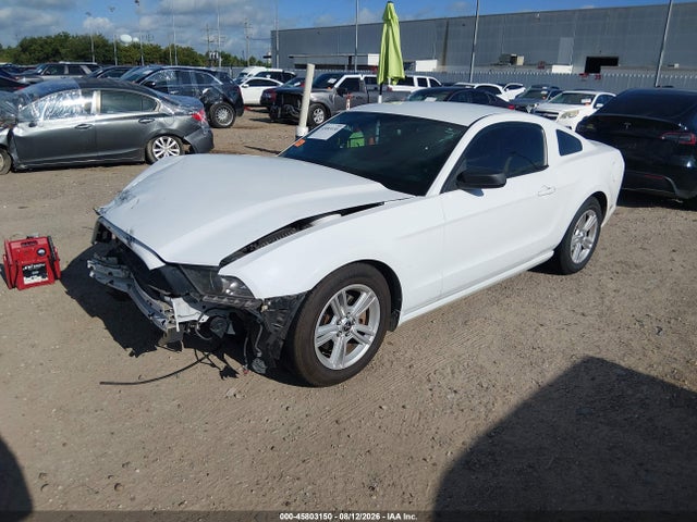 1ZVBP8AM4E5224142 Ford Mustang V6