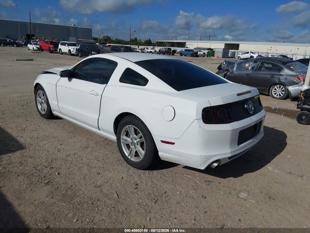 1ZVBP8AM4E5224142 Ford Mustang V6