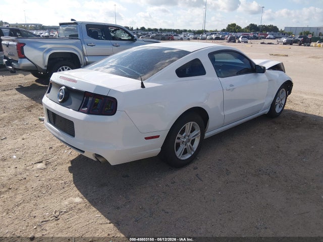 1ZVBP8AM4E5224142 Ford Mustang V6