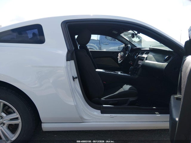 1ZVBP8AM4E5224142 Ford Mustang V6