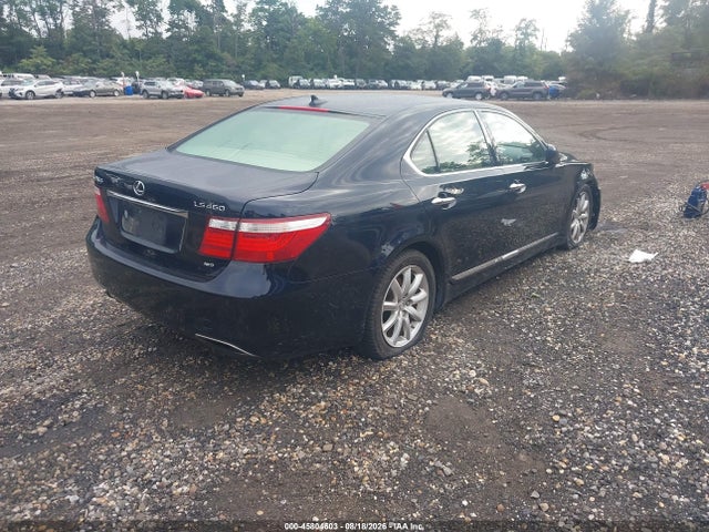 Продаж на аукціоні авто 2009 Lexus Ls 460, vin: JTHCL46F495003537, номер лоту: 45804603