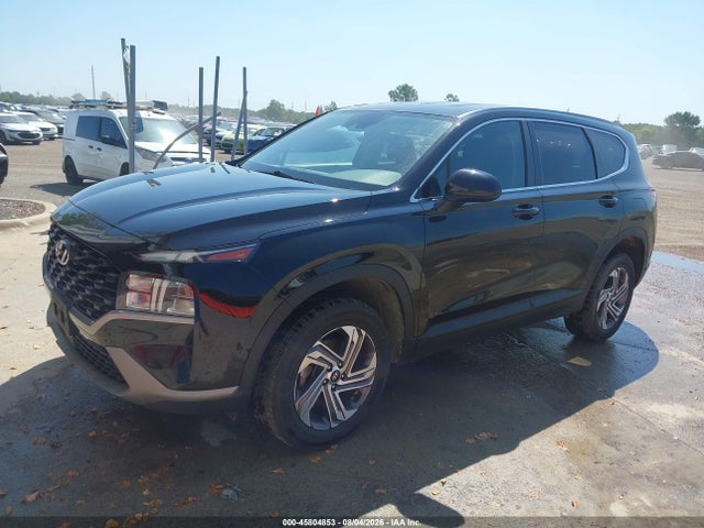 Продаж на аукціоні авто 2023 Hyundai Santa Fe Se, vin: 5NMS1DAJ7PH581138, номер лоту: 45804853