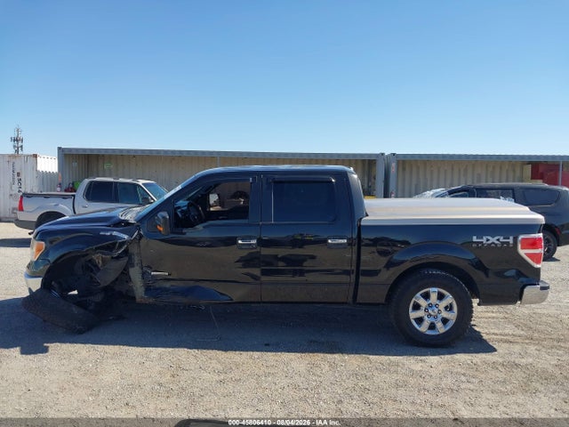 45806410 :رقم المزاد ، 1FTFW1ET9DFE00577 vin ، 2013 Ford F-150 Xlt مزاد بيع