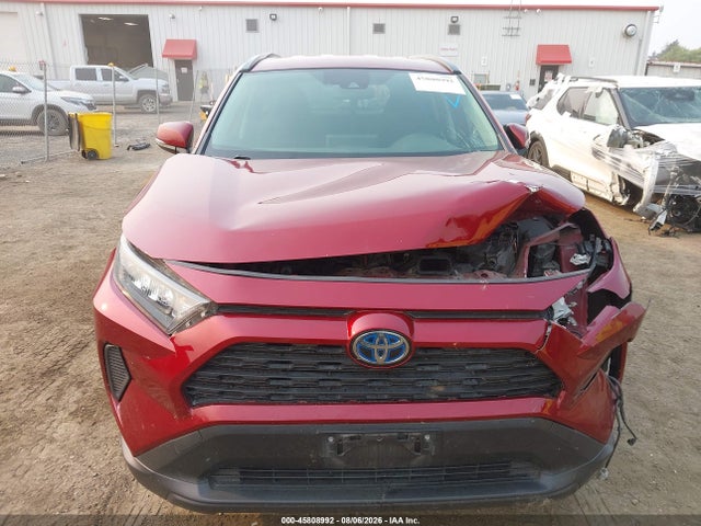 Toyota RAV4 LE 2019 JTMMWRFV9KD009508 Image 6
