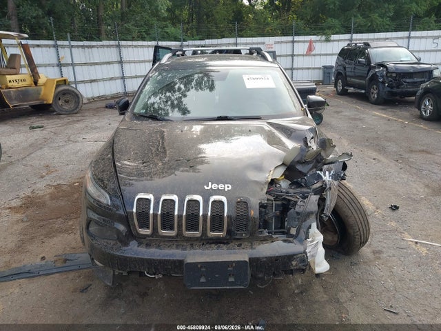 Aukcja sprzedaży 2016 Jeep Cherokee Limited, vin: 1C4PJMDS4GW245115, numer aukcji: 45809924