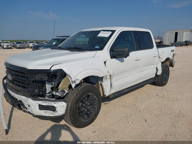 45810863 :رقم المزاد ، 1FTEW3LP1RKD54982 vin ، 2024 Ford F-150 Xlt مزاد بيع