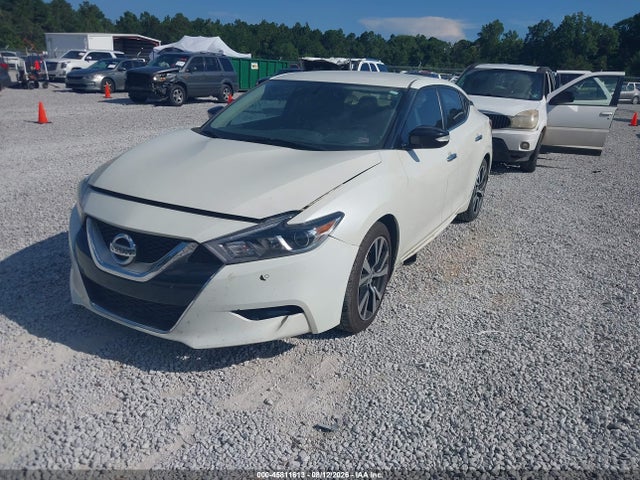 1N4AA6AP2GC391117 Nissan Maxima 3.5 Platinum/3.5 S/3.5 Sl/3.5 Sr/3.5 Sv