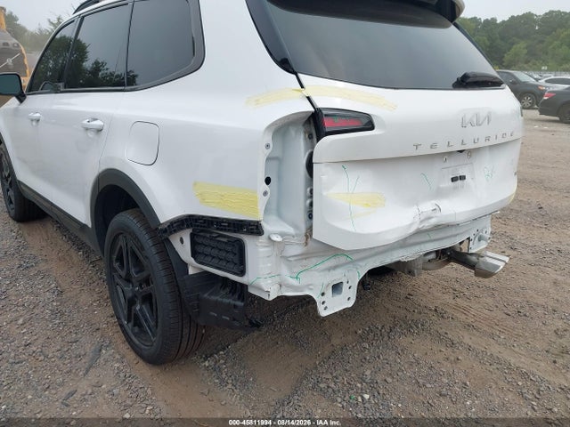 Продажа на аукционе авто 2024 Kia Telluride Sx Prestige X-line, vin: 5XYP5DGC0RG443957, номер лота: 45811994
