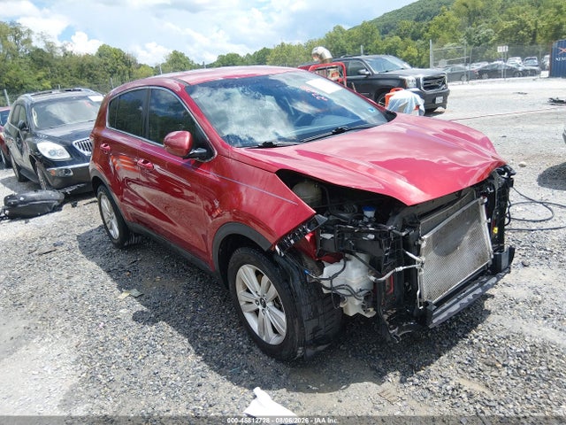 Auction sale of the 2019 Kia Sportage Lx, vin: KNDPM3AC2K7525925, lot number: 45812728