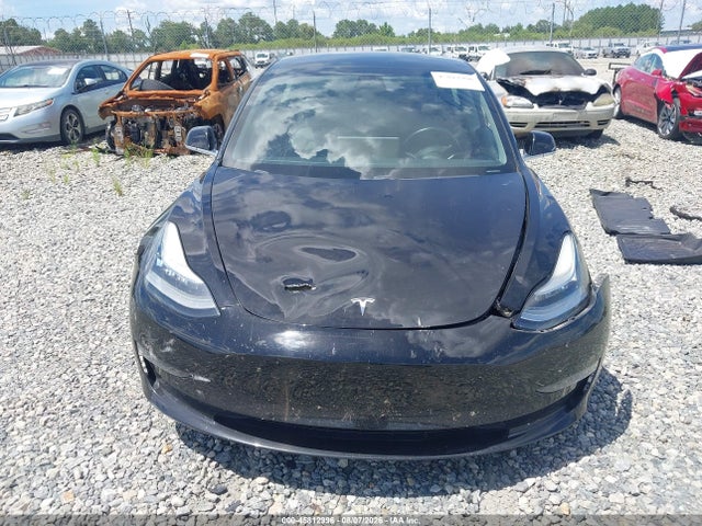 Tesla MODEL 3 2019 5YJ3E1EA6KF316755 Image 11