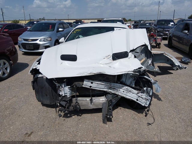 45813493 :رقم المزاد ، 1FA6P8TH7K5123179 vin ، 2019 Ford Mustang Ecoboost مزاد بيع