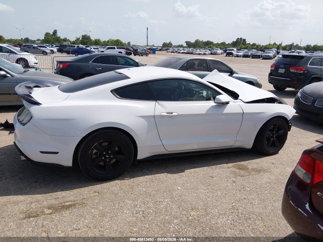 45813493 :رقم المزاد ، 1FA6P8TH7K5123179 vin ، 2019 Ford Mustang Ecoboost مزاد بيع