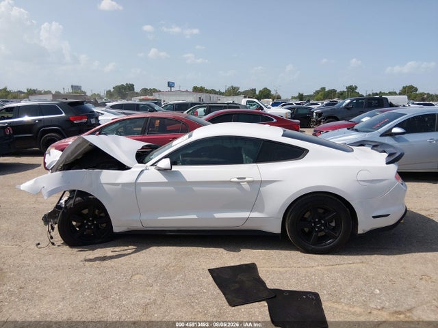 45813493 :رقم المزاد ، 1FA6P8TH7K5123179 vin ، 2019 Ford Mustang Ecoboost مزاد بيع