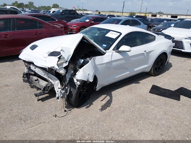 45813493 :رقم المزاد ، 1FA6P8TH7K5123179 vin ، 2019 Ford Mustang Ecoboost مزاد بيع