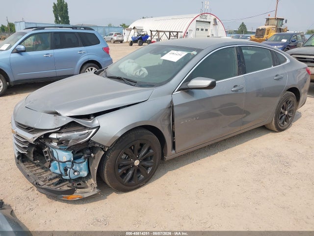 Aukcja sprzedaży 2024 Chevrolet Malibu 1lt, vin: 1G1ZD5ST1RF169091, numer aukcji: 45814251