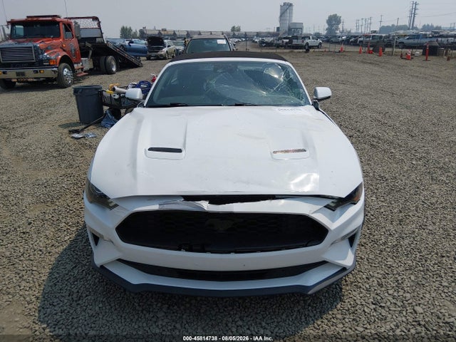 2019 Ford Mustang Ecoboost Premium მანქანა იყიდება აუქციონზე, vin: 1FATP8UH8K5159500, აუქციონის ნომერი: 45814738