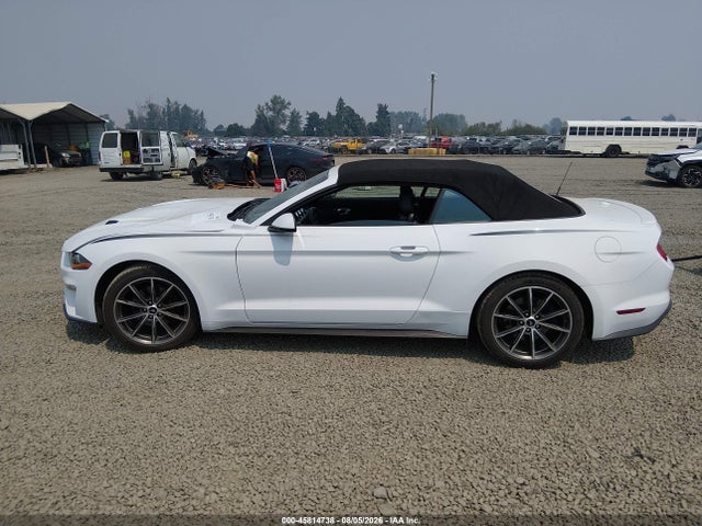 2019 Ford Mustang Ecoboost Premium მანქანა იყიდება აუქციონზე, vin: 1FATP8UH8K5159500, აუქციონის ნომერი: 45814738