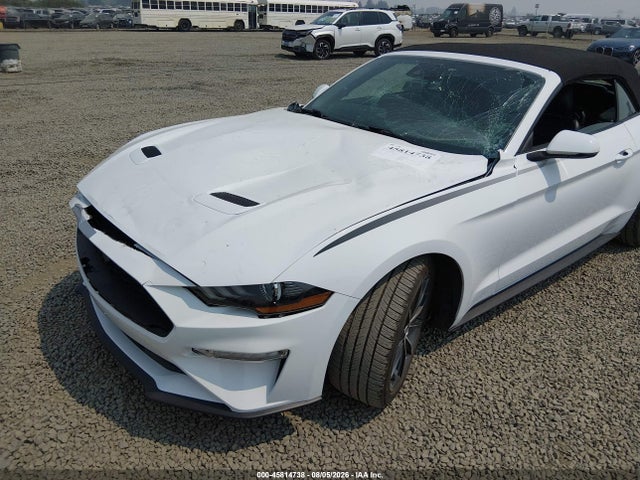 2019 Ford Mustang Ecoboost Premium მანქანა იყიდება აუქციონზე, vin: 1FATP8UH8K5159500, აუქციონის ნომერი: 45814738