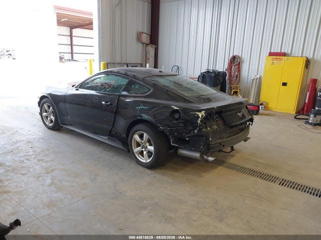 Ford Mustang Ecoboost 2019 1FA6P8TH7K5143531 Image 3
