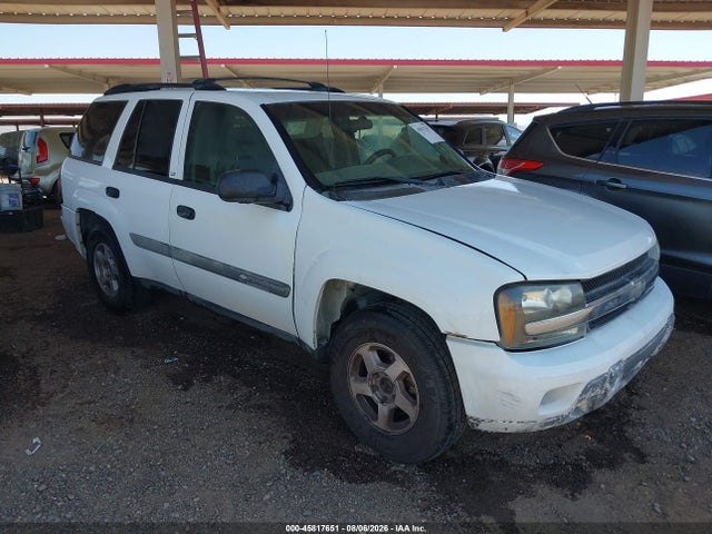 2004 Chevrolet Trailblazer Ls მანქანა იყიდება აუქციონზე, vin: 1GNDT13S742441895, აუქციონის ნომერი: 45817651