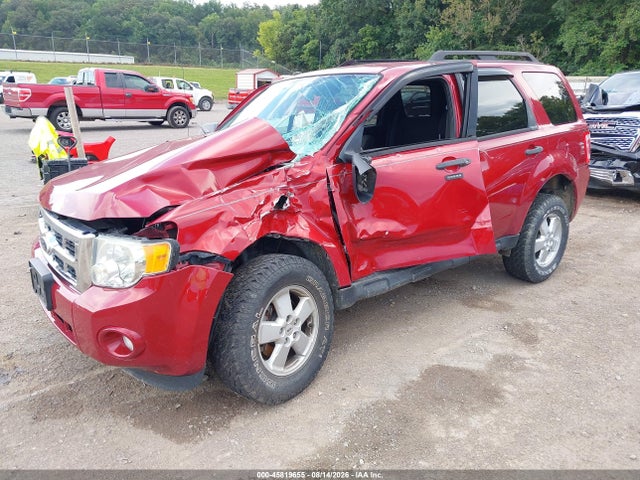 Продаж на аукціоні авто 2010 Ford Escape Xlt, vin: 1FMCU9DG6AKB90515, номер лоту: 45819655