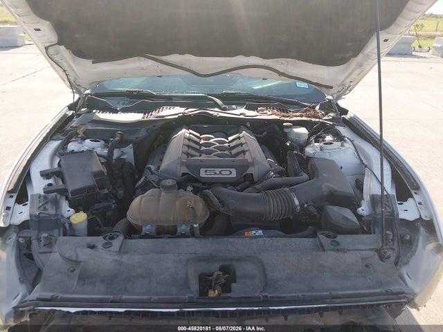1FA6P8CF1F5393187 Ford Mustang Gt Premium