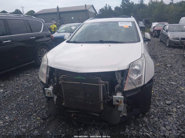 Продажа на аукционе авто 2014 Cadillac Srx Premium Collection, vin: 3GYFNGE3XES549464, номер лота: 45822591