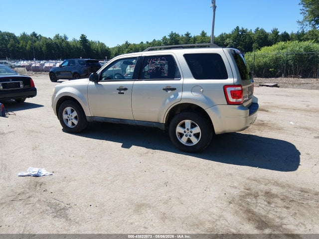 45822873 :رقم المزاد ، 1FMCU0DG3AKA04599 vin ، 2010 Ford Escape Xlt مزاد بيع