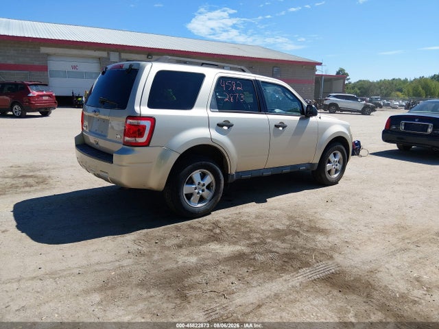 45822873 :رقم المزاد ، 1FMCU0DG3AKA04599 vin ، 2010 Ford Escape Xlt مزاد بيع