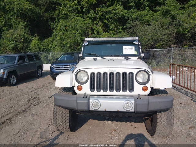 Aukcja sprzedaży 2010 Jeep Wrangler Sahara, vin: 1J4AA5D1XAL208415, numer aukcji: 45823228