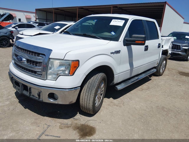 45823615 :رقم المزاد ، 1FTFW1CF7DKE81132 vin ، 2013 Ford F-150 Xlt مزاد بيع