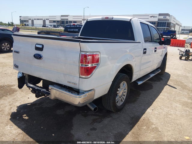 45823615 :رقم المزاد ، 1FTFW1CF7DKE81132 vin ، 2013 Ford F-150 Xlt مزاد بيع