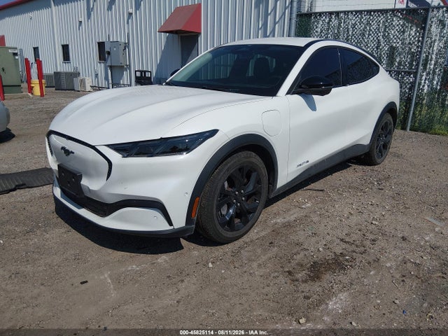 Ford Mustang Mach-e Select 2024 3FMTK1S53RMA41783 Image 2