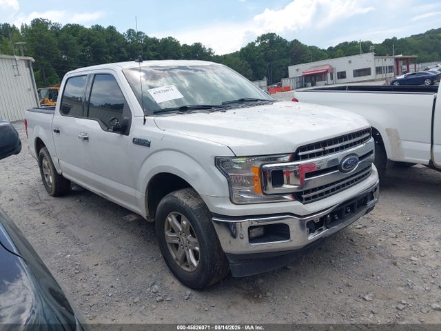 Aukcja sprzedaży 2019 Ford F-150 Xlt, vin: 1FTEW1CP6KFA51716, numer aukcji: 45826071
