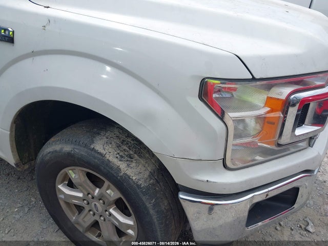 Продажа на аукционе авто 2019 Ford F-150 Xlt, vin: 1FTEW1CP6KFA51716, номер лота: 45826071