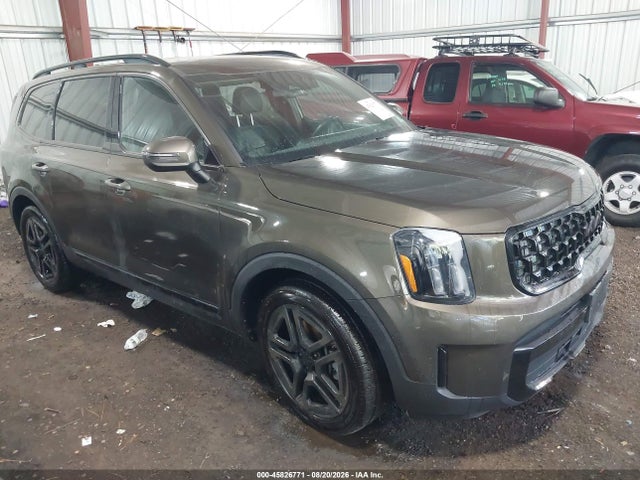 Aukcja sprzedaży 2025 Kia Telluride Ex X-line, vin: 5XYP3DGCXSG568587, numer aukcji: 45826771