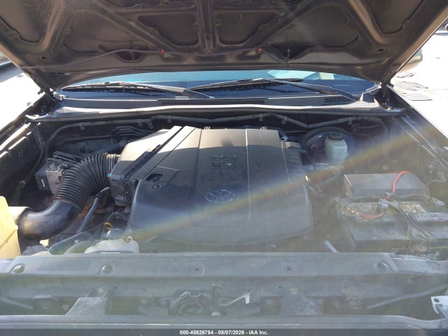Продаж на аукціоні авто 2007 Toyota Tacoma Base V6, vin: 5TELU42N67Z344671, номер лоту: 45826784